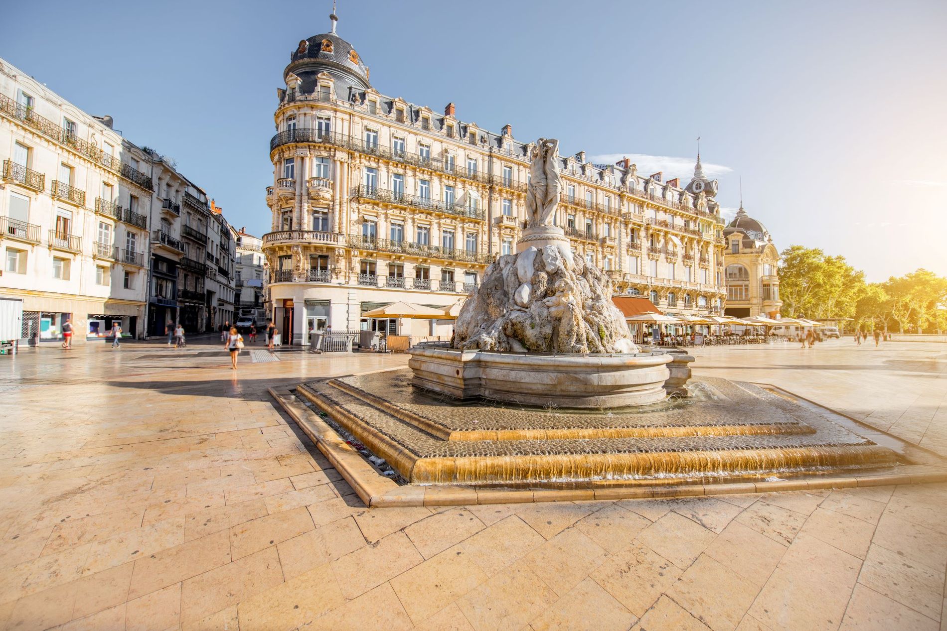 Montpellier gallery 2.jpeg
